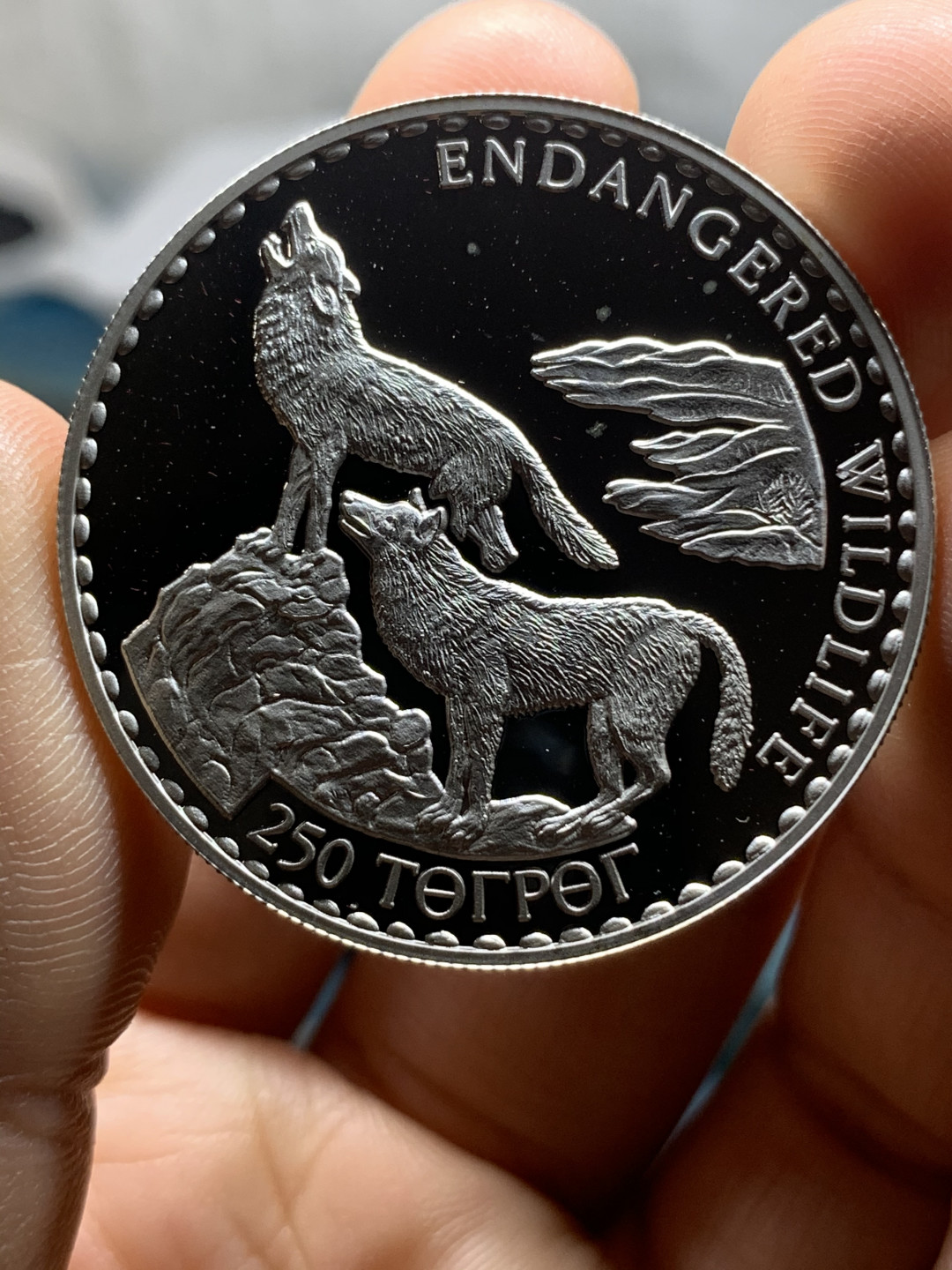《竞宝斋》钱币微拍-第23场（全场顺丰包邮） 蒙古 1992年 250图格里克动物 草原狼 精制纪念大银币 925银 31.47克