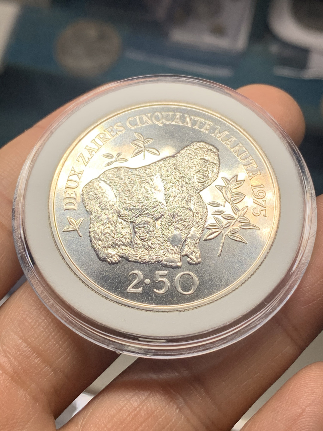 《竞宝斋》钱币微拍-第23场（全场顺丰包邮） 扎伊尔 1975年 925大银币一对 珍稀动物 黑猩猩和霍加皮 28.28克+35克=63.28克