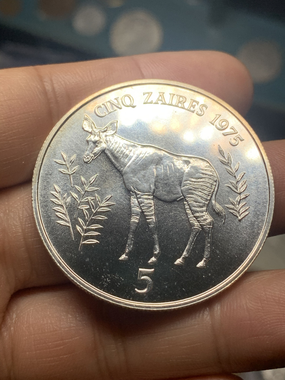 《竞宝斋》钱币微拍-第23场（全场顺丰包邮） 扎伊尔 1975年 925大银币一对 珍稀动物 黑猩猩和霍加皮 28.28克+35克=63.28克