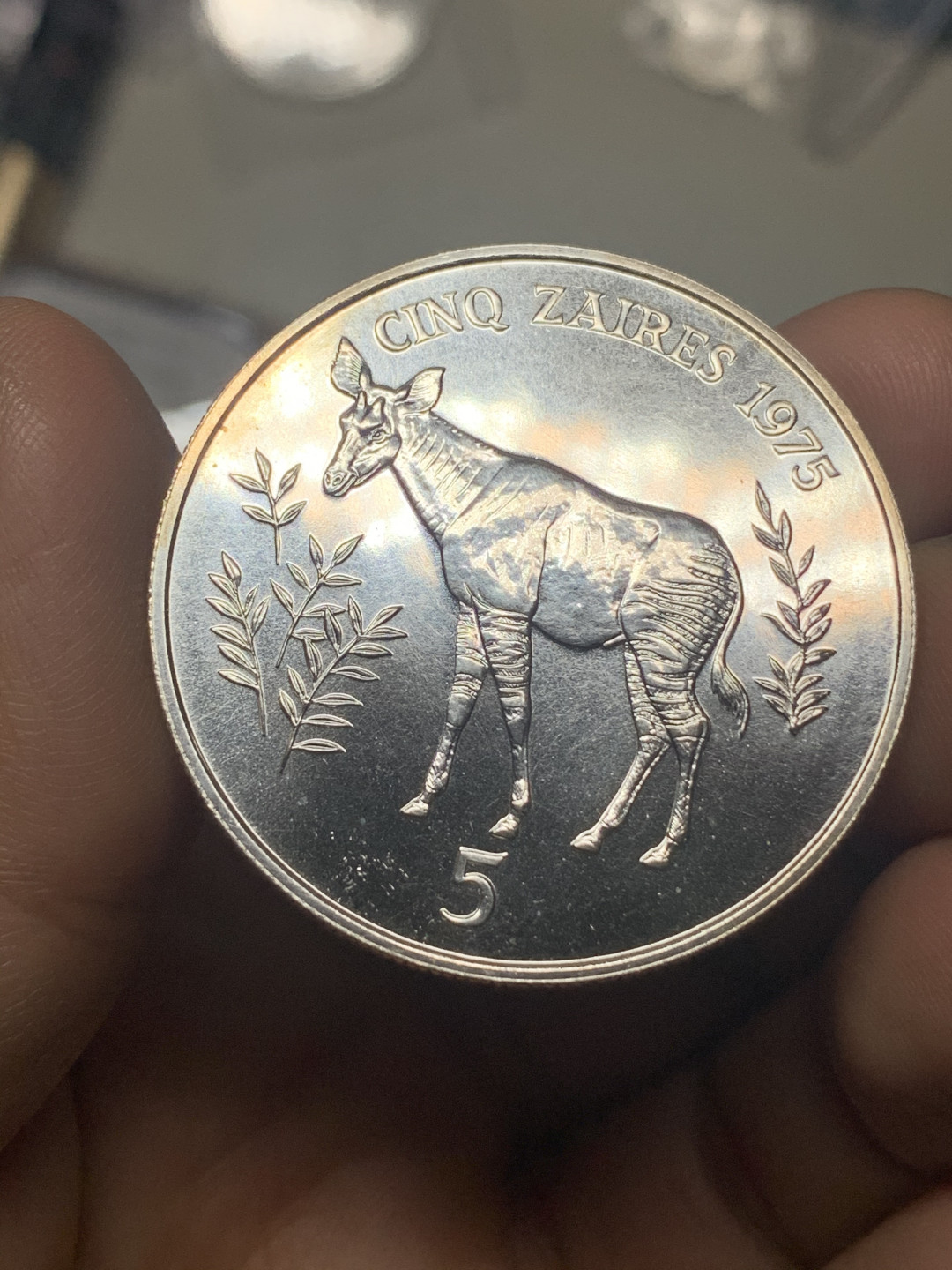《竞宝斋》钱币微拍-第23场（全场顺丰包邮） 扎伊尔 1975年 925大银币一对 珍稀动物 黑猩猩和霍加皮 28.28克+35克=63.28克