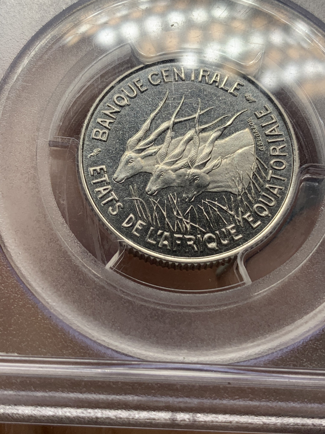 《竞宝斋》钱币微拍-第23场（全场顺丰包邮） PGCS-SP67 稀少 中非1966年 顶级分数 100法郎 加厚样币