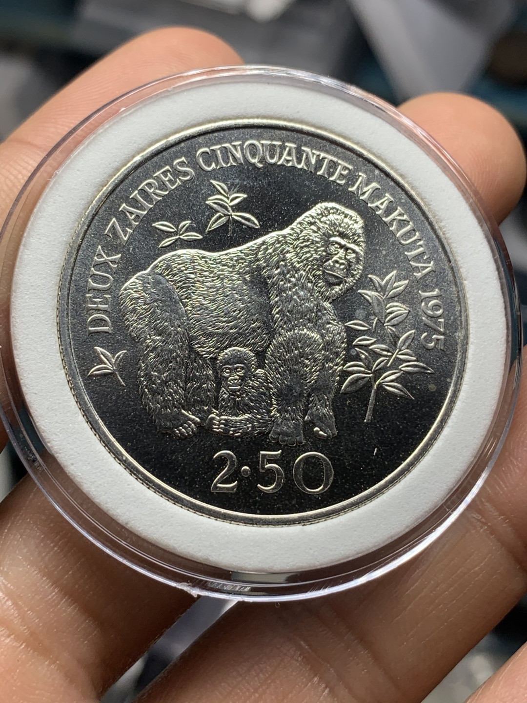 《竞宝斋》钱币微拍-第23场（全场顺丰包邮） 扎伊尔 1975年 925大银币一对 珍稀动物 黑猩猩和霍加皮 28.28克+35克=63.28克