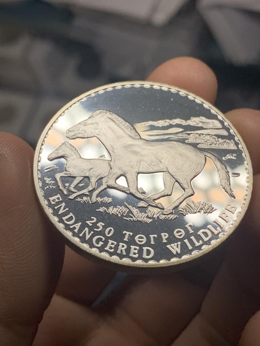 《竞宝斋》钱币微拍-第23场（全场顺丰包邮） 蒙古 1992年 250图格里克动物 草原野马 精制纪念大银币 925银 31.47克