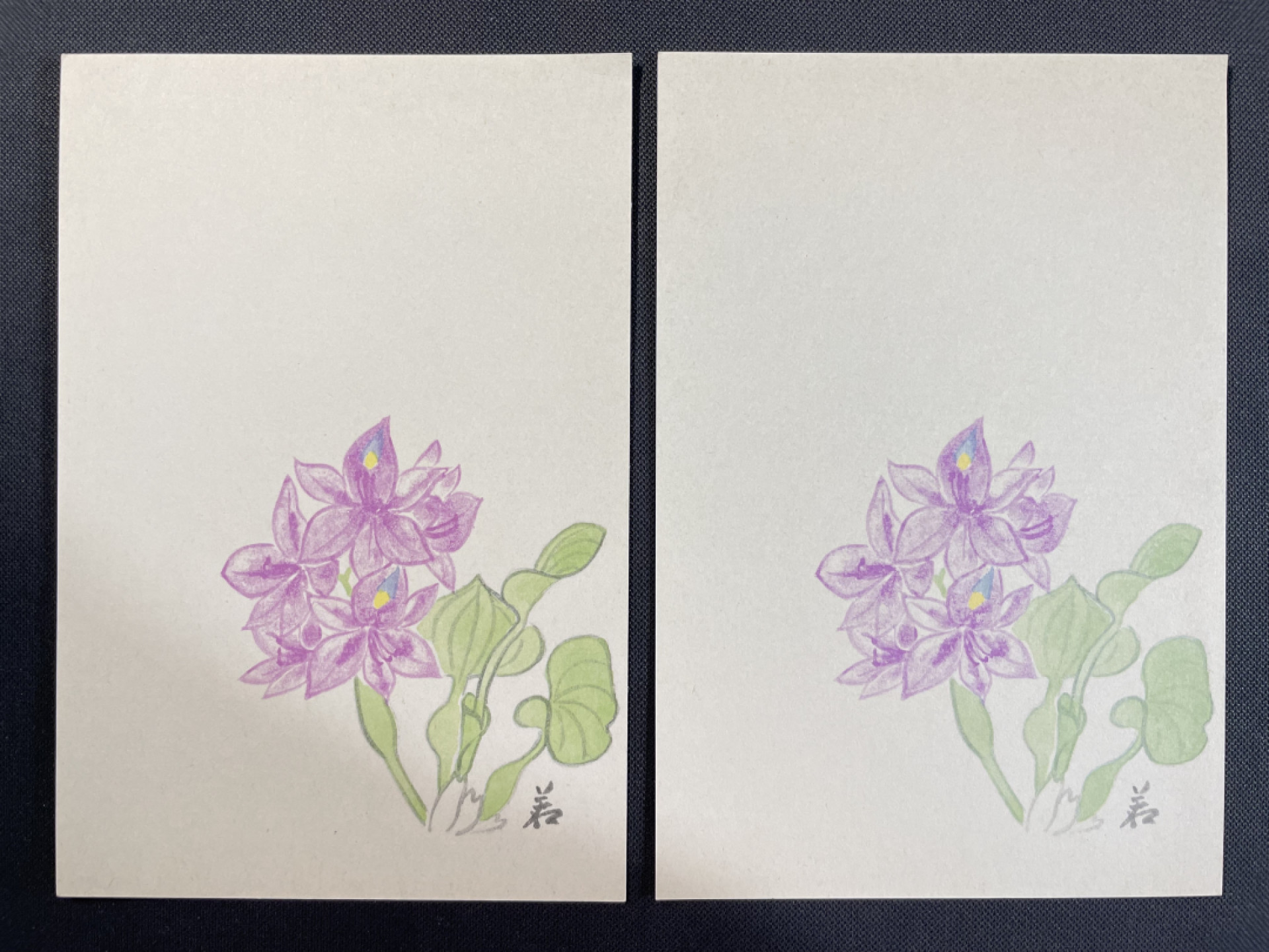 【第5期】莲池国际邮品拍卖-捡漏场