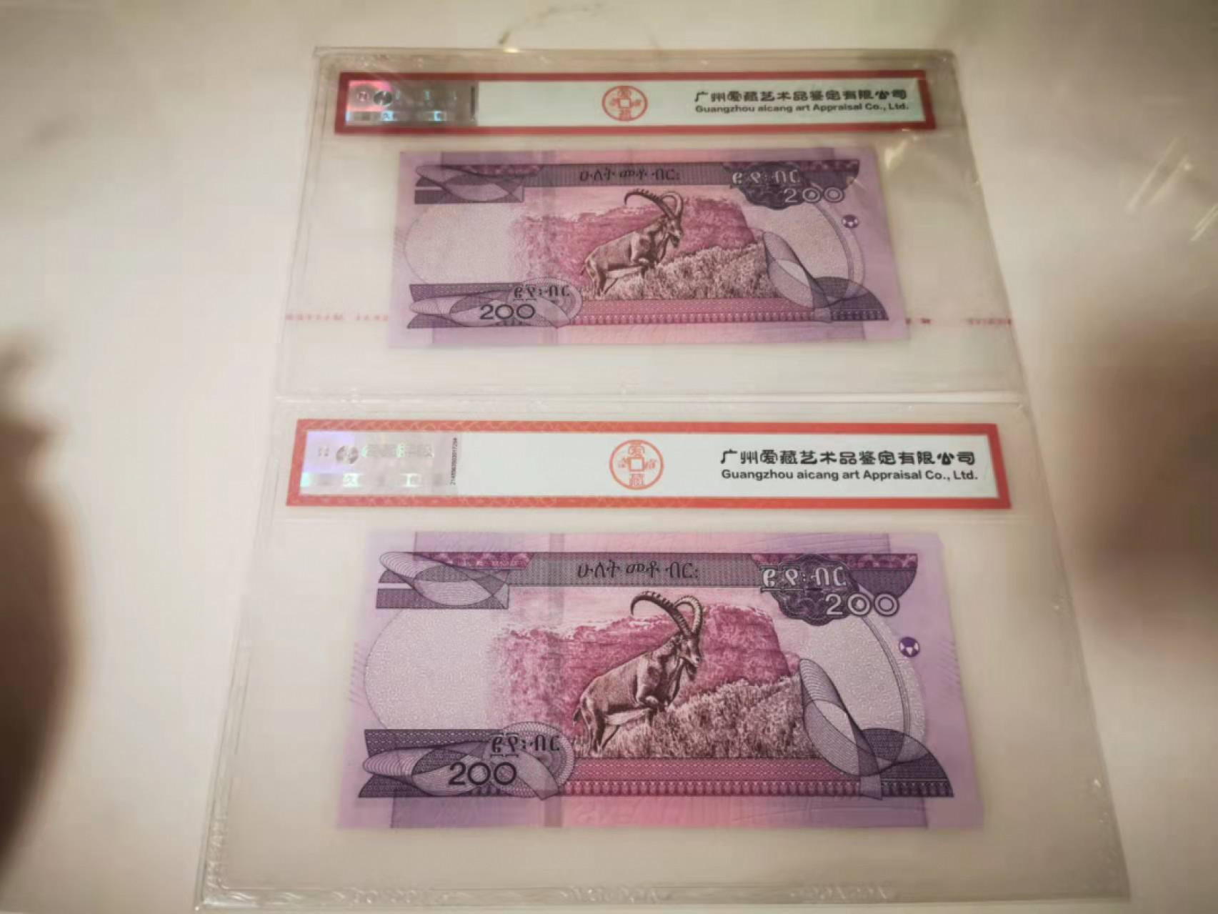 【鲸贝乐淘★叁拍包邮】千字文·第“恬笔伦纸，钧巧任钓”号拍卖 【埃塞俄比亚】2020年200元，一对2张，爱藏66E