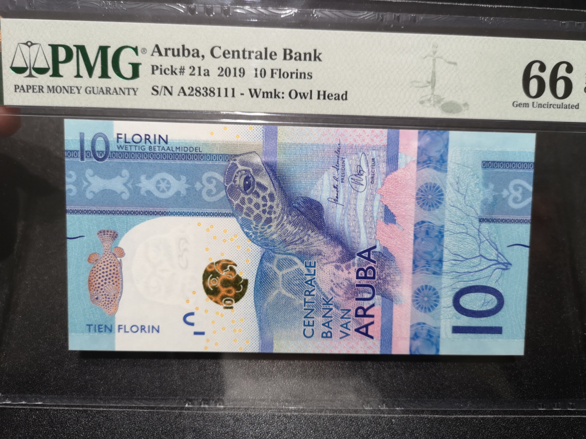 《外钞收藏家》第一百五十八期拍卖（本期111件） 2019年阿鲁巴10 A冠无47豹子号111 PMG66