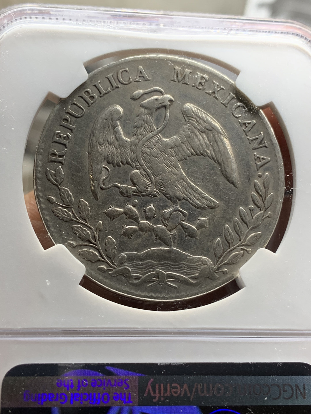 《竞宝斋》钱币微拍-第24场-本周日，周一2场连拍（全场顺丰包邮） NGC-XFD   墨西哥 1894年 8 里亚尔   阿拉莫斯厂  银币     原味As厂老鹰 