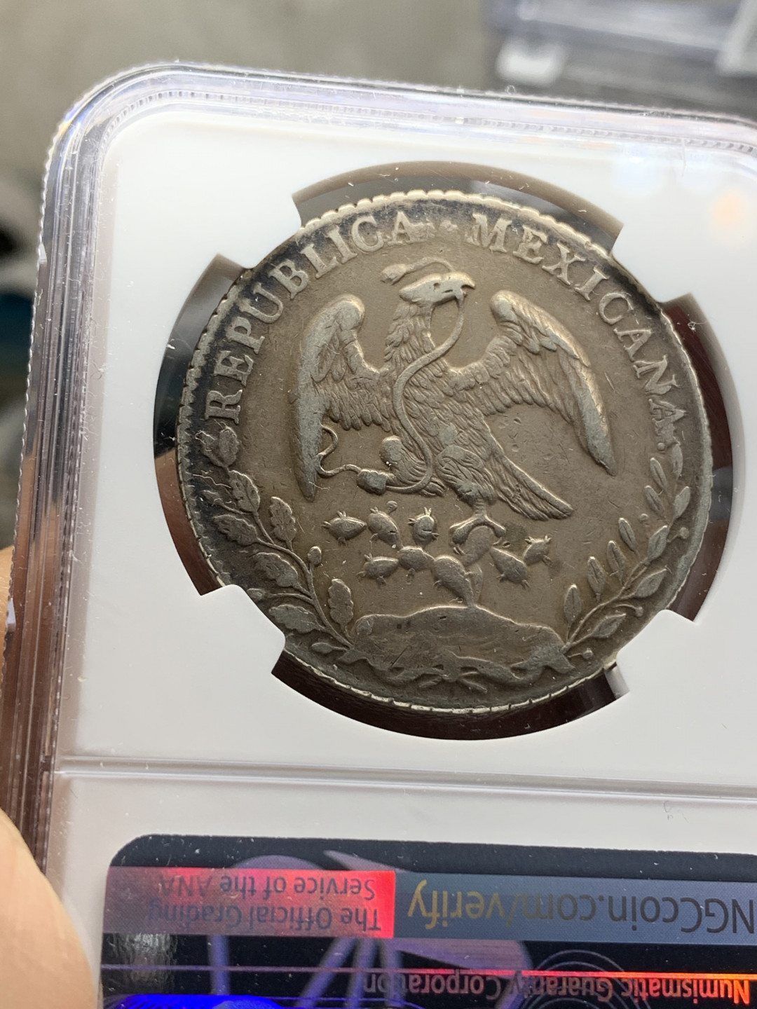 《竞宝斋》钱币微拍-第24场-本周日，周一2场连拍（全场顺丰包邮） NGC-XFD  1884 墨西哥鹰洋 8 里亚尔 墨西哥城厂  黑包浆