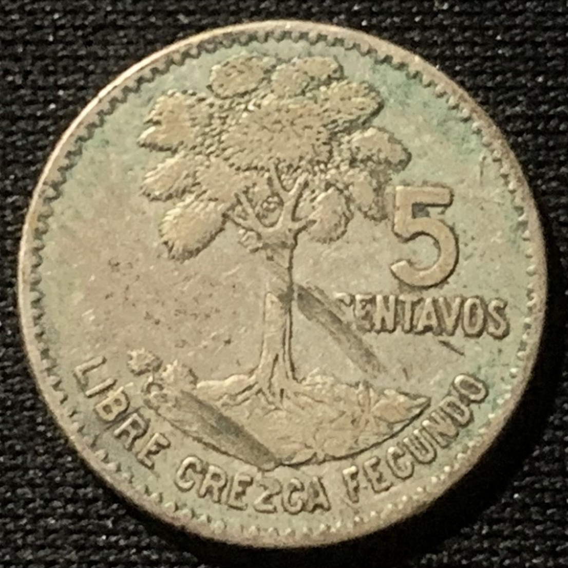 紫瑗钱币——第163期 危地马拉 1960年 木棉树 5分 1.67克 0.72银