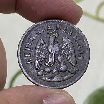 【Numismatist】新年首场-0佣包邮自动托管 - 墨西哥1891年1分铜币Mo版