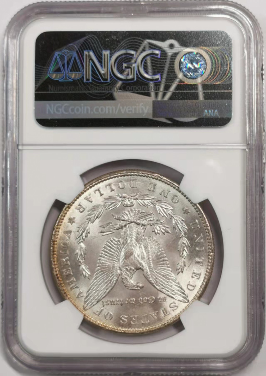凡希社世界钱币微拍第一百八十四期 1888摩根摩根壹元NGC-MS64原色银光！
