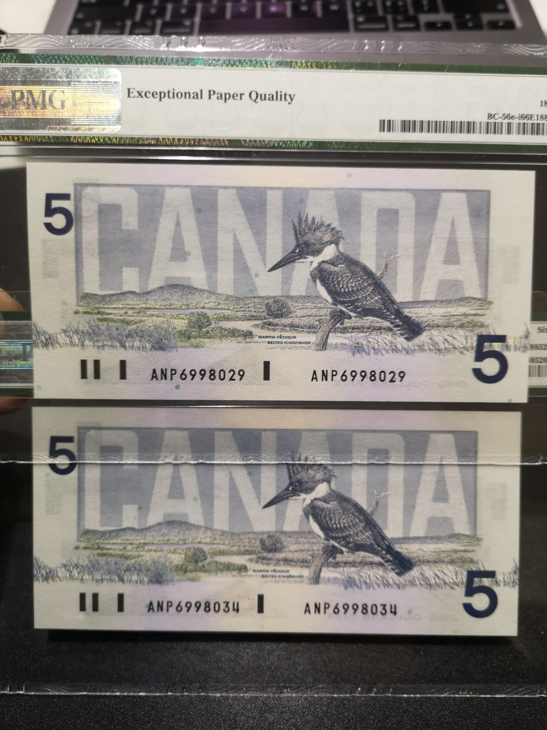 🌟2022新年第二拍《外钞收藏家》第一百六十期拍卖（本期81件） 1986年加拿大5加元 两张 PMG66