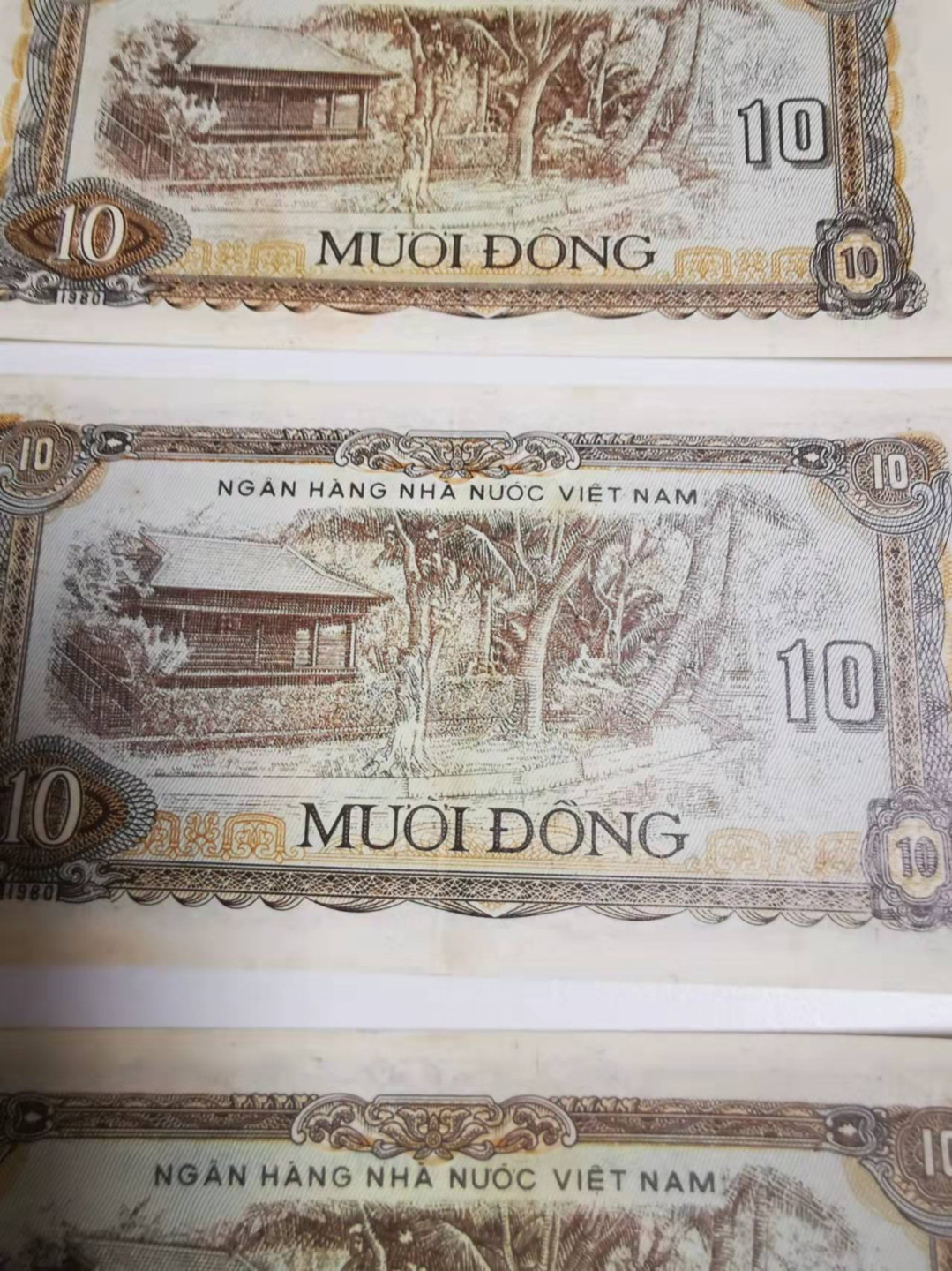 【鲸贝乐淘★叁拍包邮】千字文·第“毛施淑姿，工颦妍笑”号拍卖 【越南🇻🇳】1980年10盾10张，难得好品相，Aunc，无中折痕有黄斑