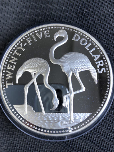 【海寧潮】拍卖第五期 - 【海寧潮】巴哈马1985年动物火烈鸟3.85盎司纪念大银币