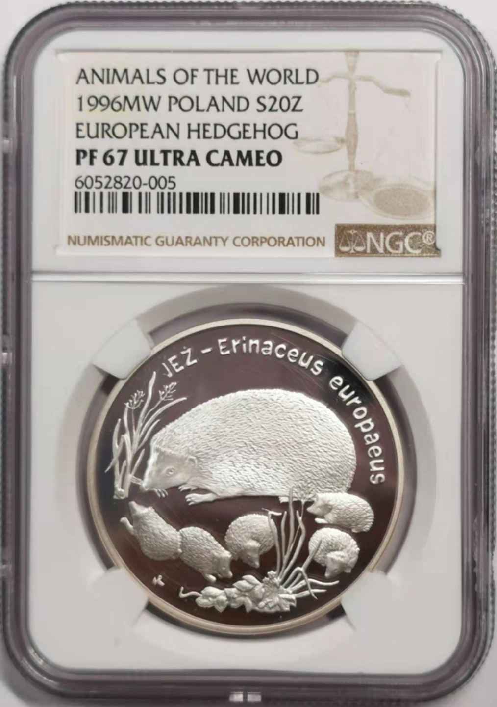 凡希社世界钱币微拍第一百八十五期 1996波兰刺猬20Z精铸大银NGC-PF67UC