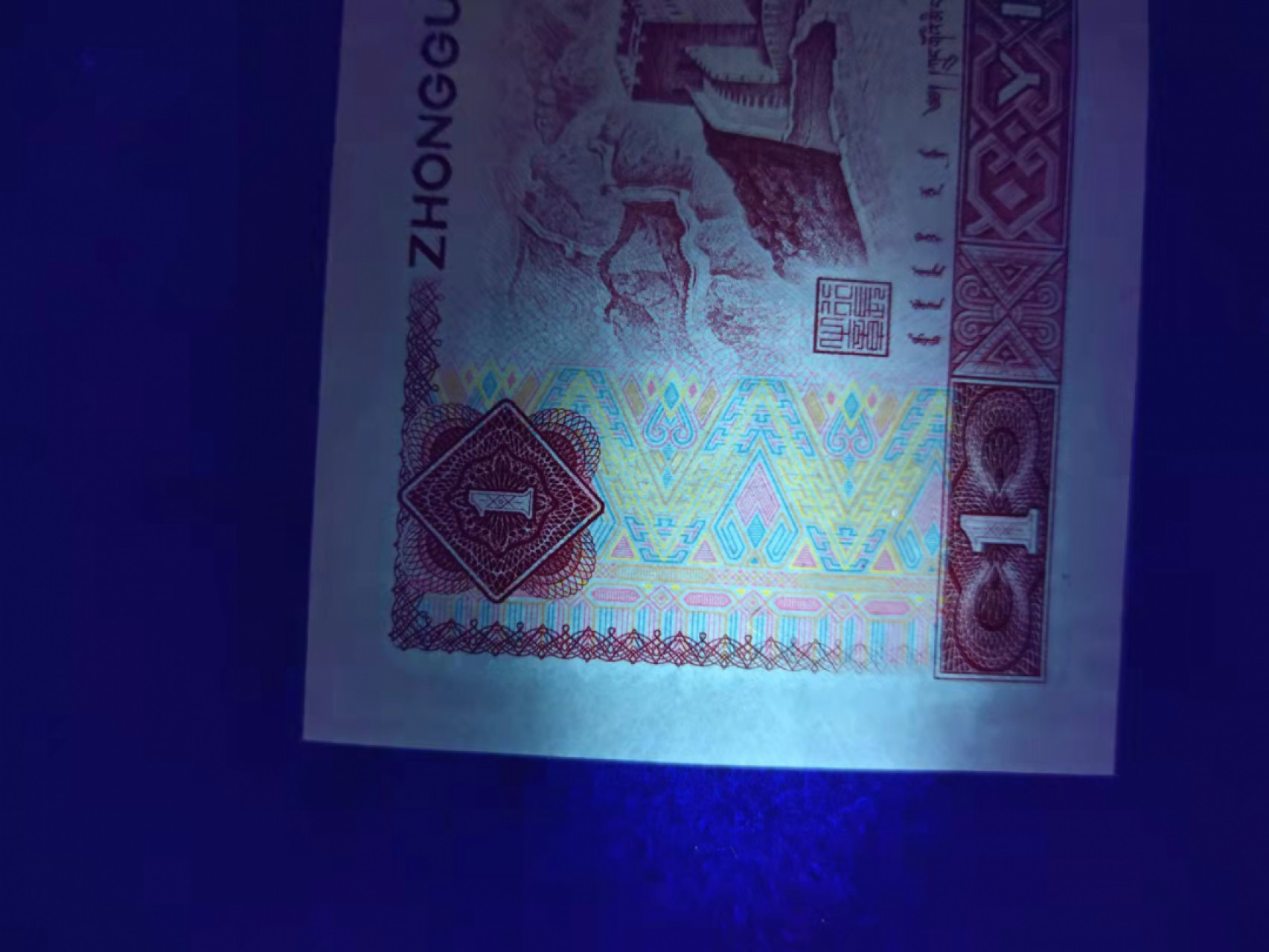 801金龙王，霸王花，标十