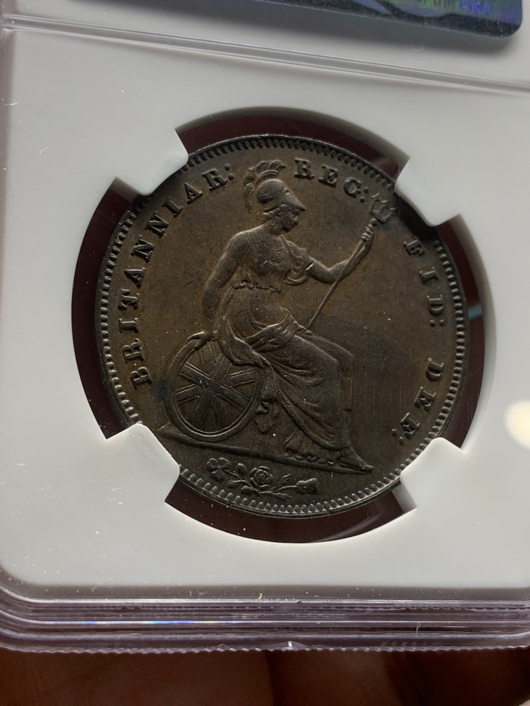 《竞宝斋》第27场-本周日，周一2场连拍（全场顺丰包邮） NGC-AU55 英国 1854年 1便士铜币 巧克力包浆 状态不错