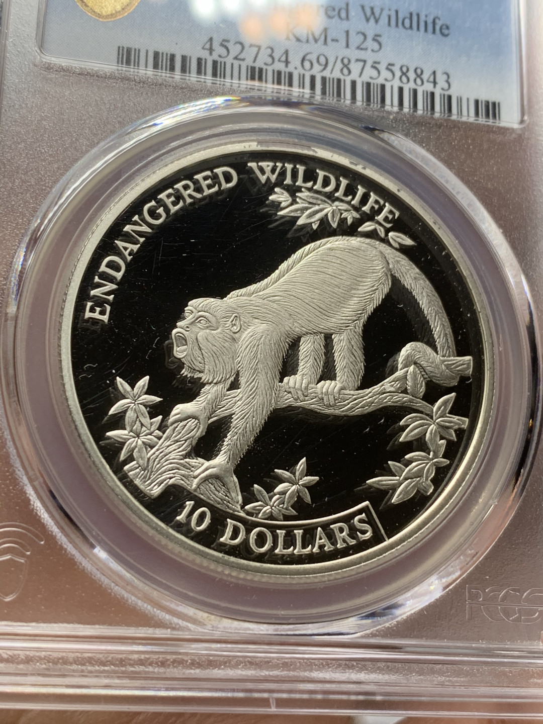 《竞宝斋》第27场-本周日，周一2场连拍（全场顺丰包邮） PCGS PR69DCAM 伯利兹1995年动物-吼猴10元精制大银币 冠军分 925银，直径38.5mm，重量28.8g，发行量1万枚。