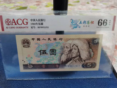 805五彩苍松 - 805五彩苍松