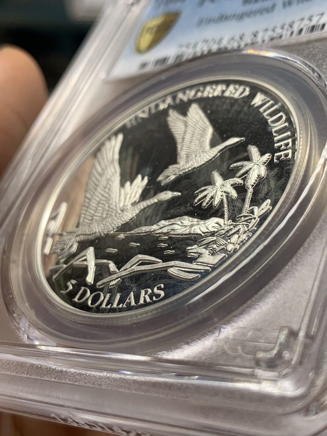 《竞宝斋》第27场-本周日，周一2场连拍（全场顺丰包邮） PCGS PR68DCAM 巴哈马1994年动物-飞雁5元精制大银币 唯一冠军分 925银，直径38.61mm，重量23.33g，发行量1万5千枚。