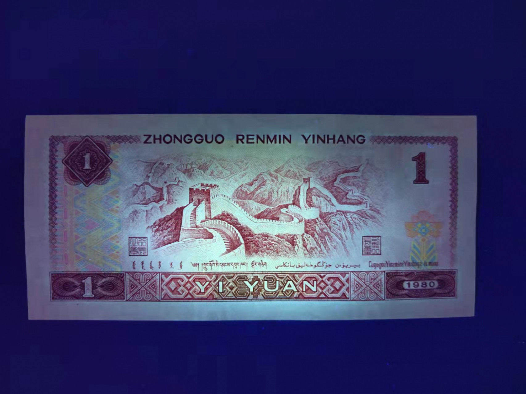 801金龙王，霸王花，标十