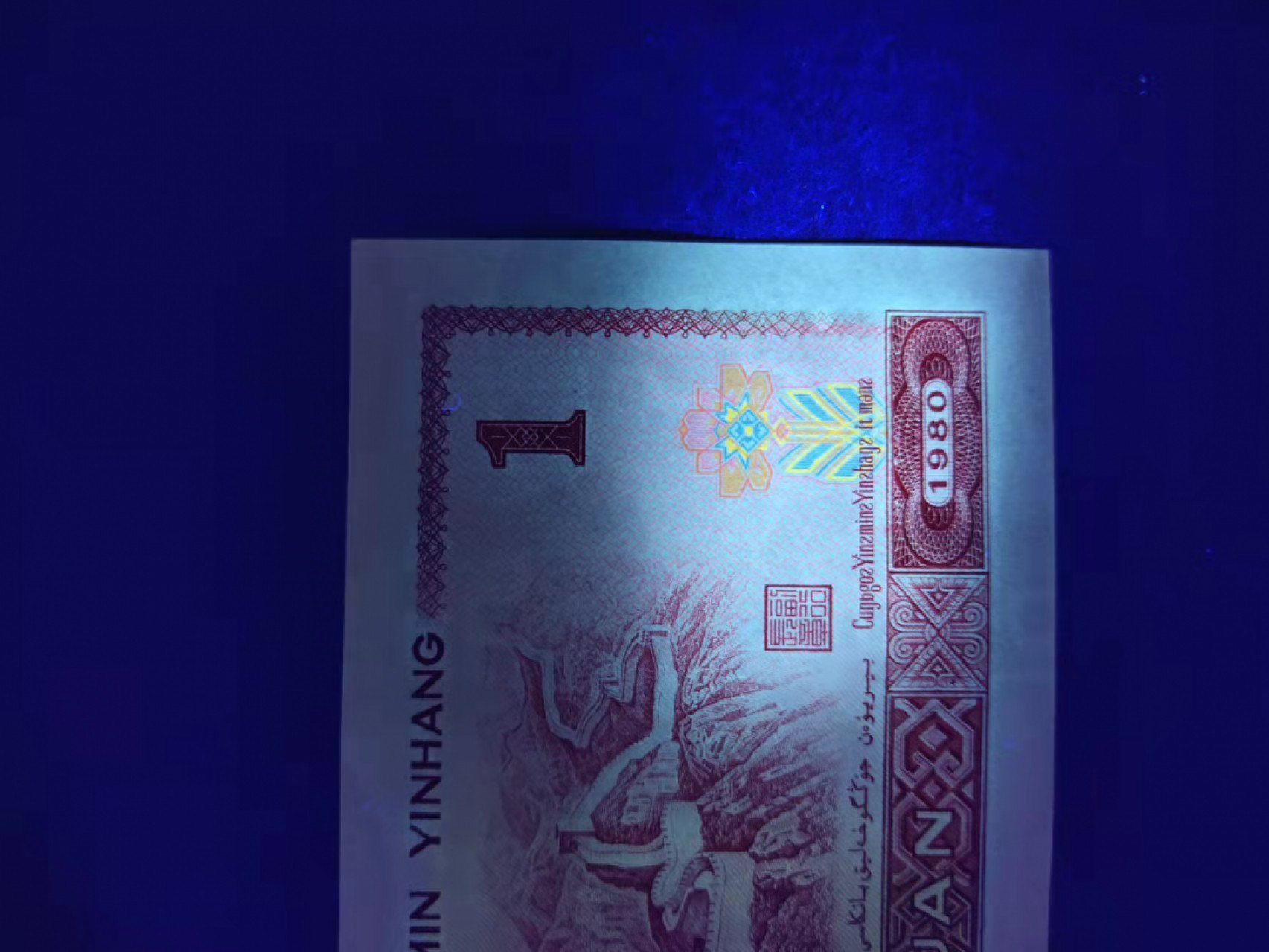 801金龙王，霸王花，标十