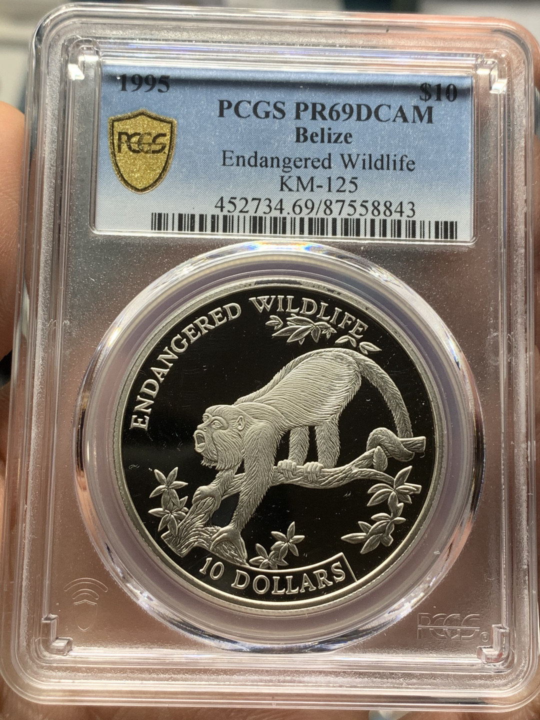 《竞宝斋》第27场-本周日，周一2场连拍（全场顺丰包邮） PCGS PR69DCAM 伯利兹1995年动物-吼猴10元精制大银币 冠军分 925银，直径38.5mm，重量28.8g，发行量1万枚。