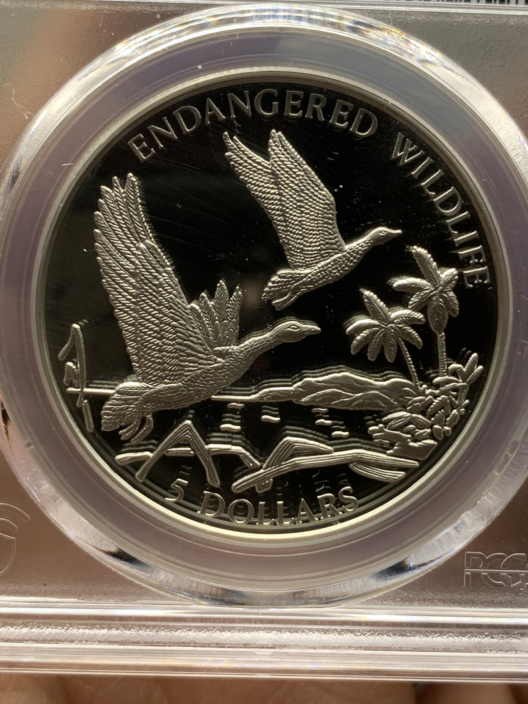 《竞宝斋》第27场-本周日，周一2场连拍（全场顺丰包邮） PCGS PR68DCAM 巴哈马1994年动物-飞雁5元精制大银币 唯一冠军分 925银，直径38.61mm，重量23.33g，发行量1万5千枚。