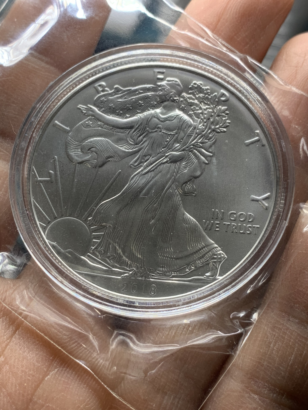 《竞宝斋》第27场-本周日，周一2场连拍（全场顺丰包邮） 2018年 美国行走女神1盎司银币 含银量99.9%