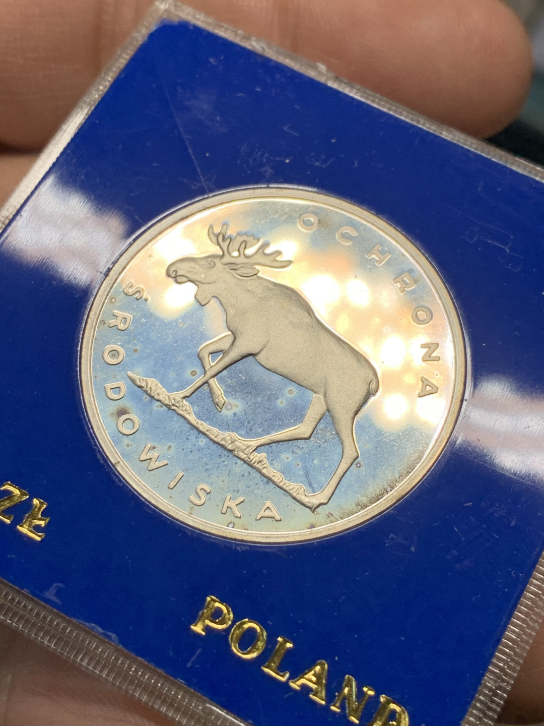 《竞宝斋》第28场-本周日，周一2场连拍（全场顺丰包邮） 蓝盒 波兰1978年 驼鹿 100兹罗提 精制银币 动物系列的波兰都比较少见