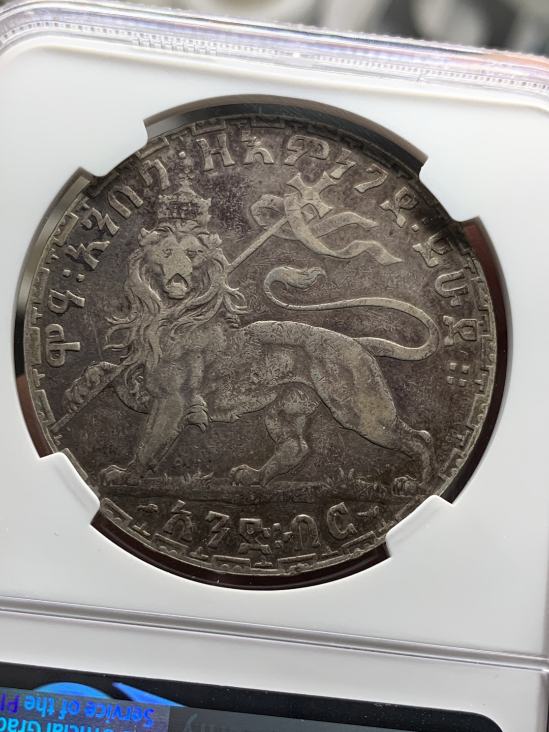 《竞宝斋》第28场-本周日，周一2场连拍（全场顺丰包邮） NGC 评级 埃塞俄比亚 1892年 1比尔 右扛旗 狮子 大银币 热门品种 细节优秀 带包浆没分也能理解了