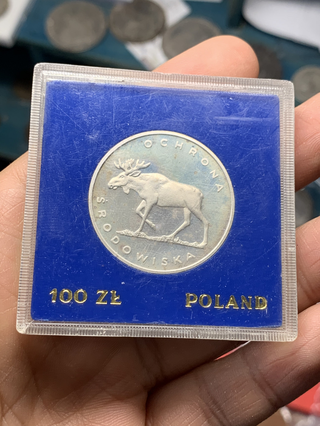 《竞宝斋》第28场-本周日，周一2场连拍（全场顺丰包邮） 蓝盒 波兰1978年 驼鹿 100兹罗提 精制银币 动物系列的波兰都比较少见
