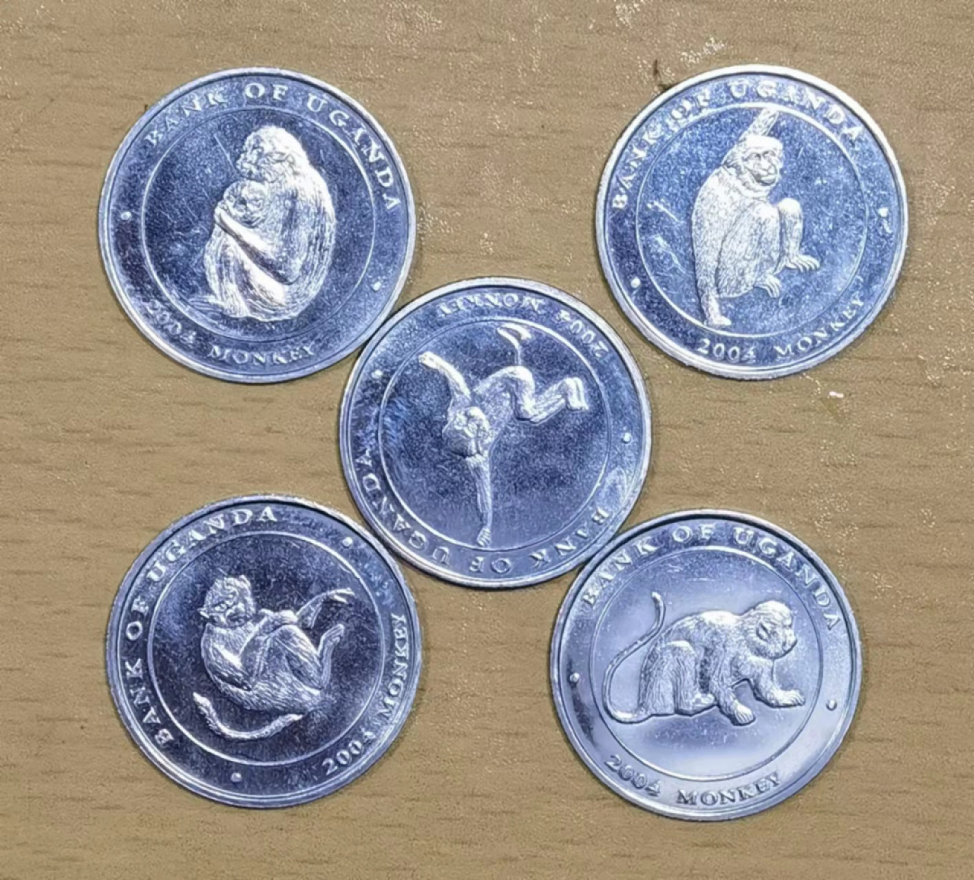 北京马甸外国钱币专卖店微拍第六十七期，非贵金属外国纪念币，流通币专场，陆续上新欢迎关注 2004年乌干达猴子纪念币5套／套