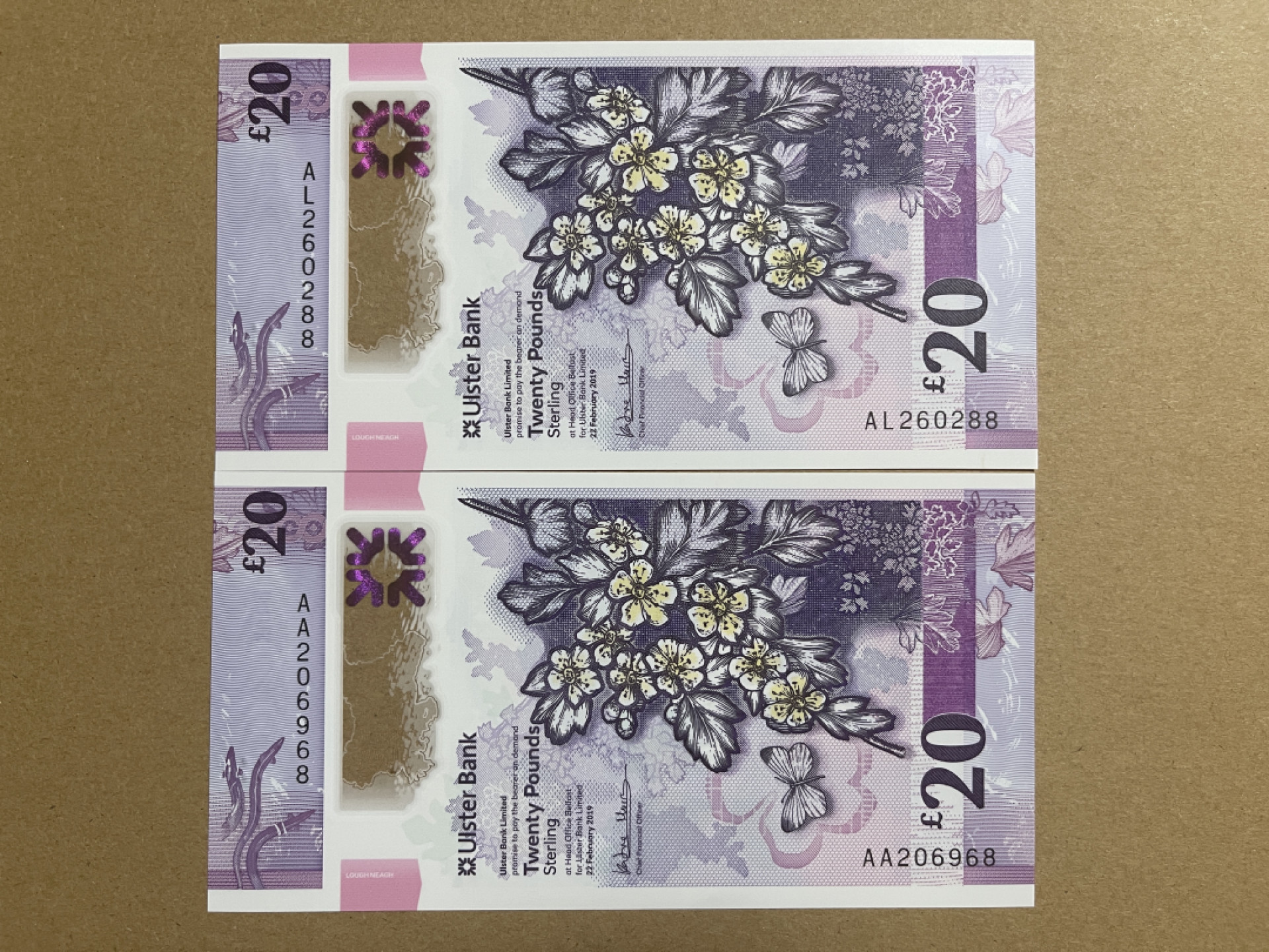 《张总收藏》47期——裸币专场 北爱尔兰20镑2张 UNC 2019年塑料钞 其中1张AA冠