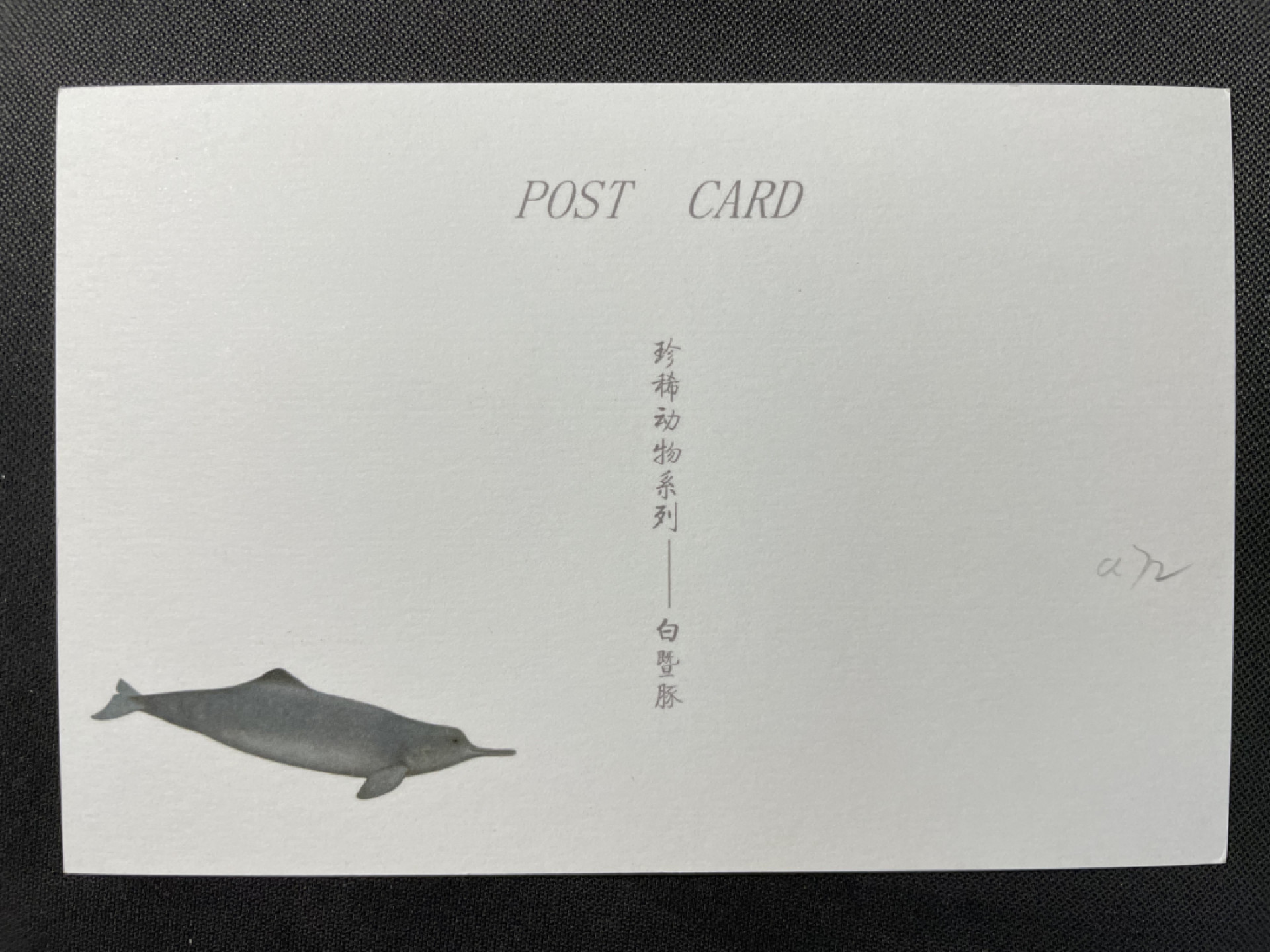 First