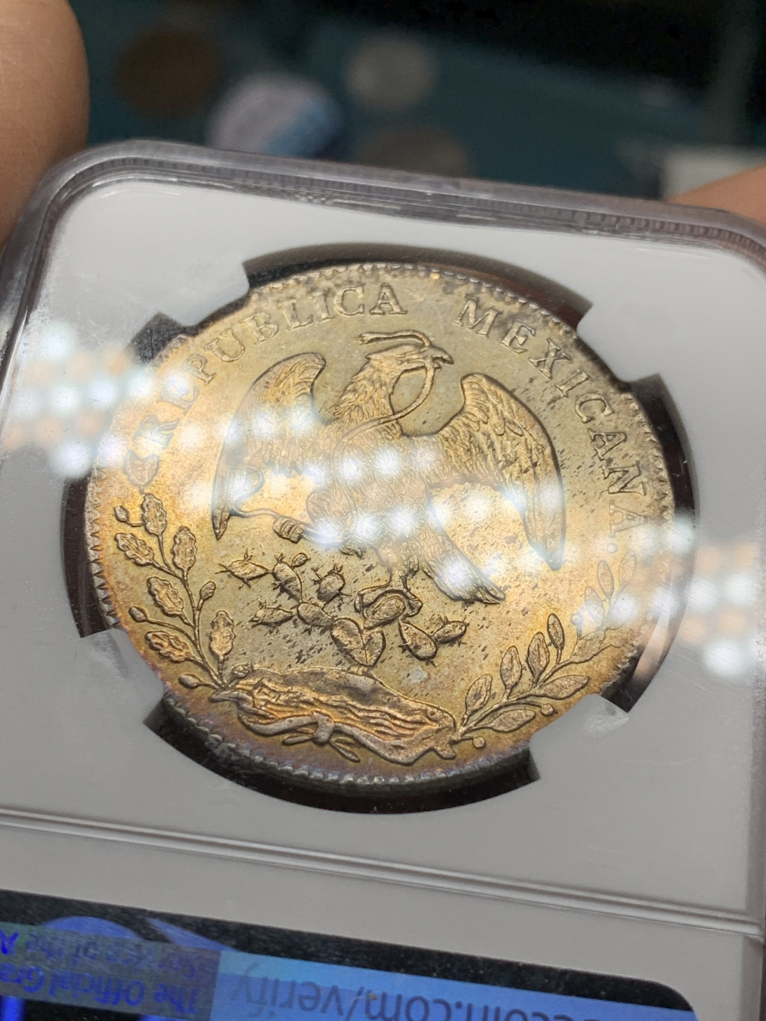 《竞宝斋》第31场（年内尾拍）-周日，周一，周二3场连拍（全场顺丰包邮） NGC-UNCD 墨西哥 1876年 8 里亚尔  库利亚坎厂  银币      双面黄金包浆C厂中期老鹰