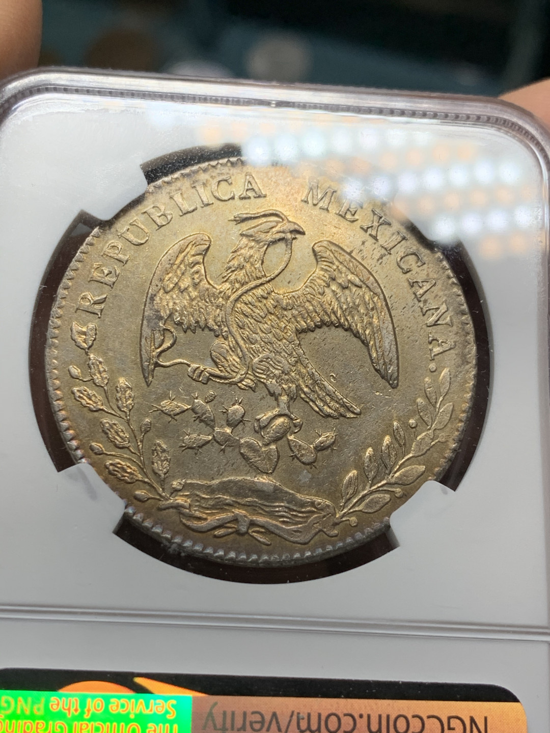 《竞宝斋》第31场（年内尾拍）-周日，周一，周二3场连拍（全场顺丰包邮） NGC-UNCD 墨西哥 1876年 8 里亚尔  库利亚坎厂  银币      双面黄金包浆C厂中期老鹰