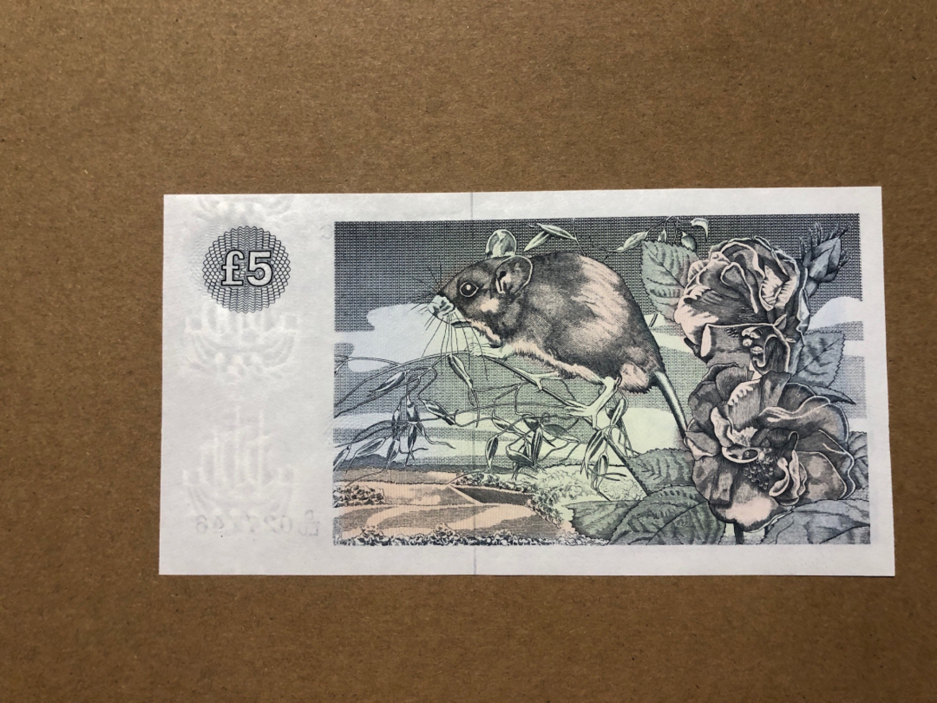 《张总收藏》48期——新春精品 苏格兰5镑 UNC 1989年版 大尺寸版本 克莱斯戴尔银行