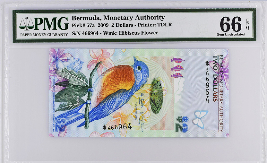 《张总收藏》48期——新春精品 2009年百慕大2 Dollars 首发洋葱冠 PMG 66 EPQ 获奖钞世界最佳纸币蓝鸟- Wmk: Hibiscus, - 