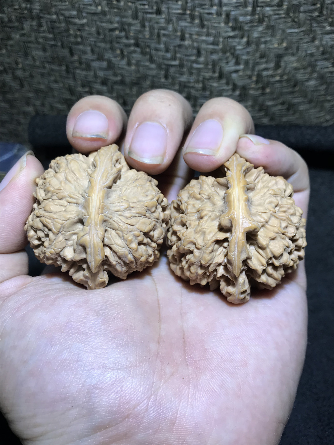 仅此一对，精修异型鹰嘴王勇官帽一对！