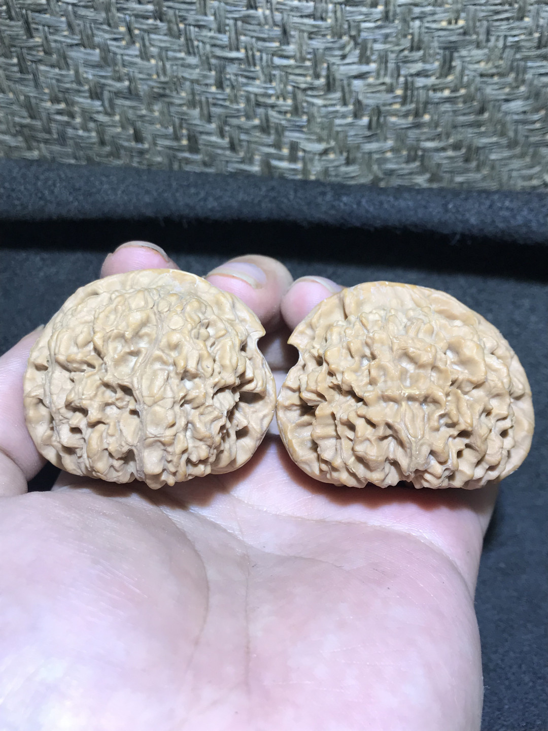 仅此一对，精修异型鹰嘴王勇官帽一对！