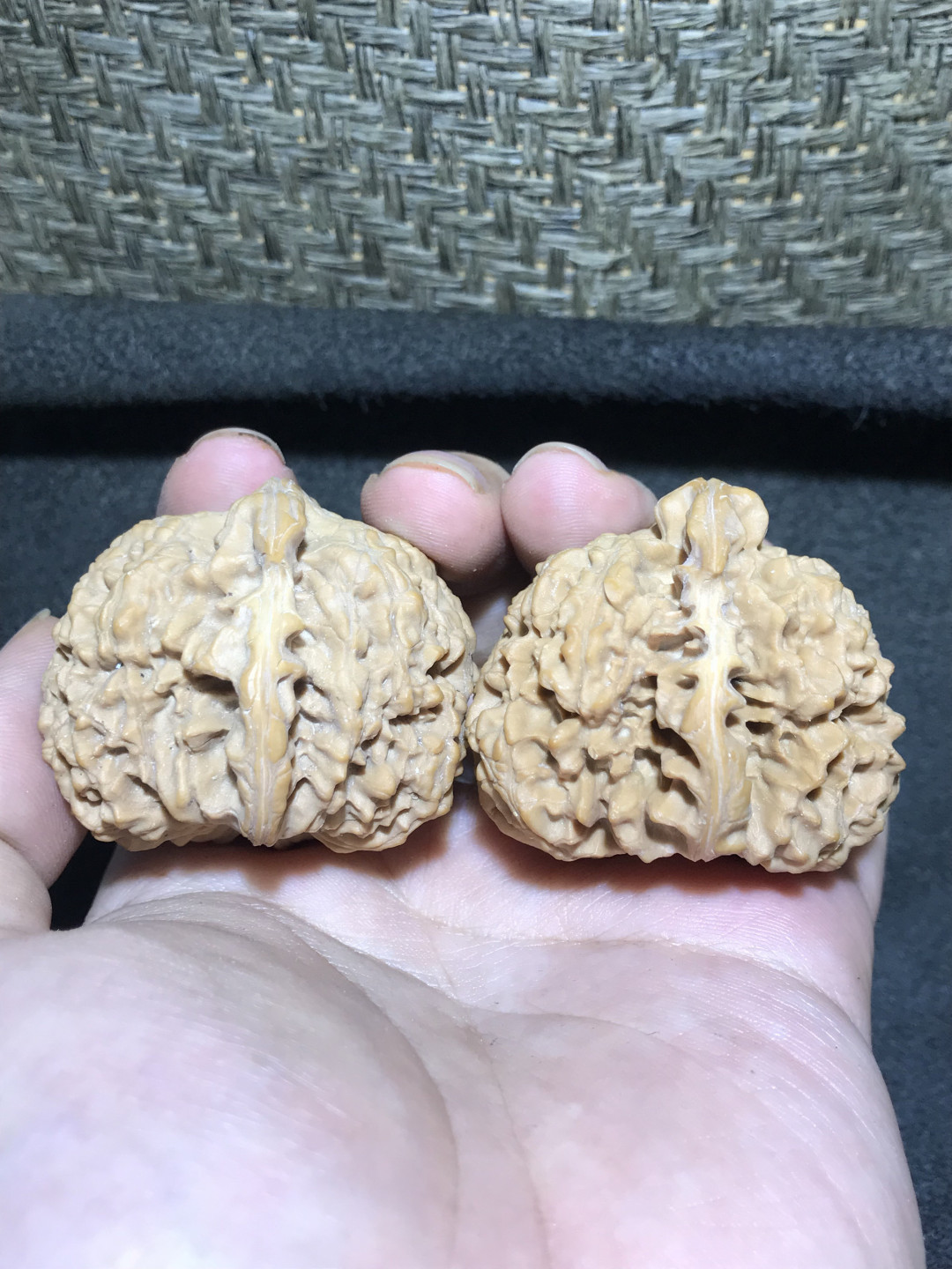 仅此一对，精修异型鹰嘴王勇官帽一对！