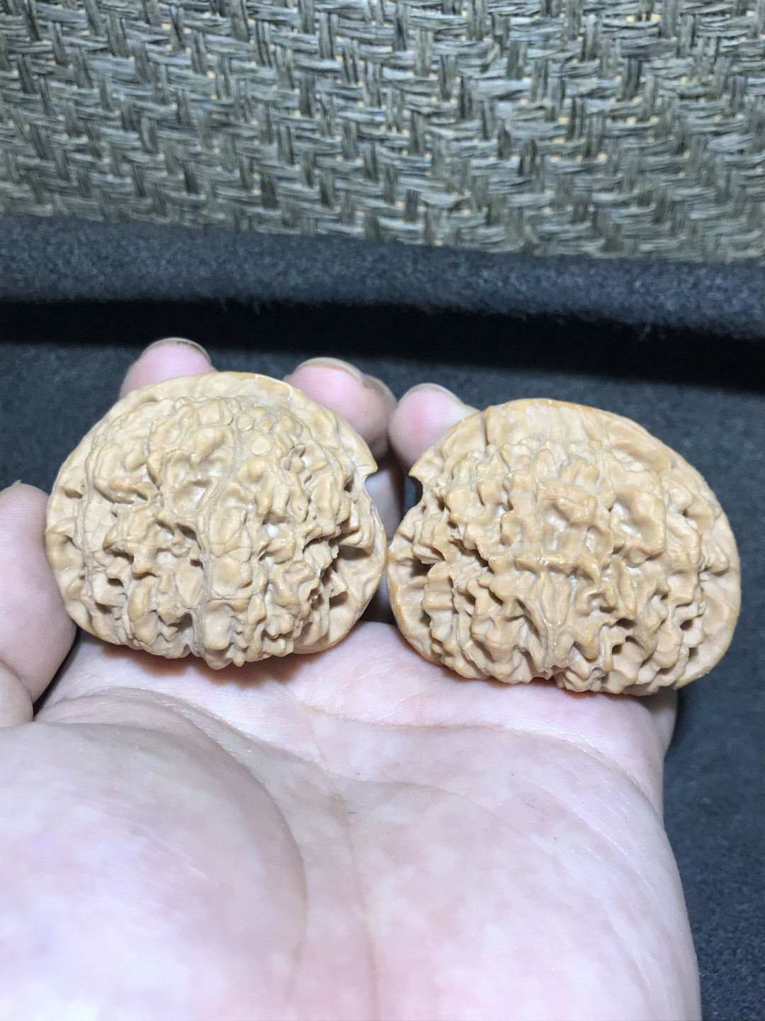 仅此一对，精修异型鹰嘴王勇官帽一对！
