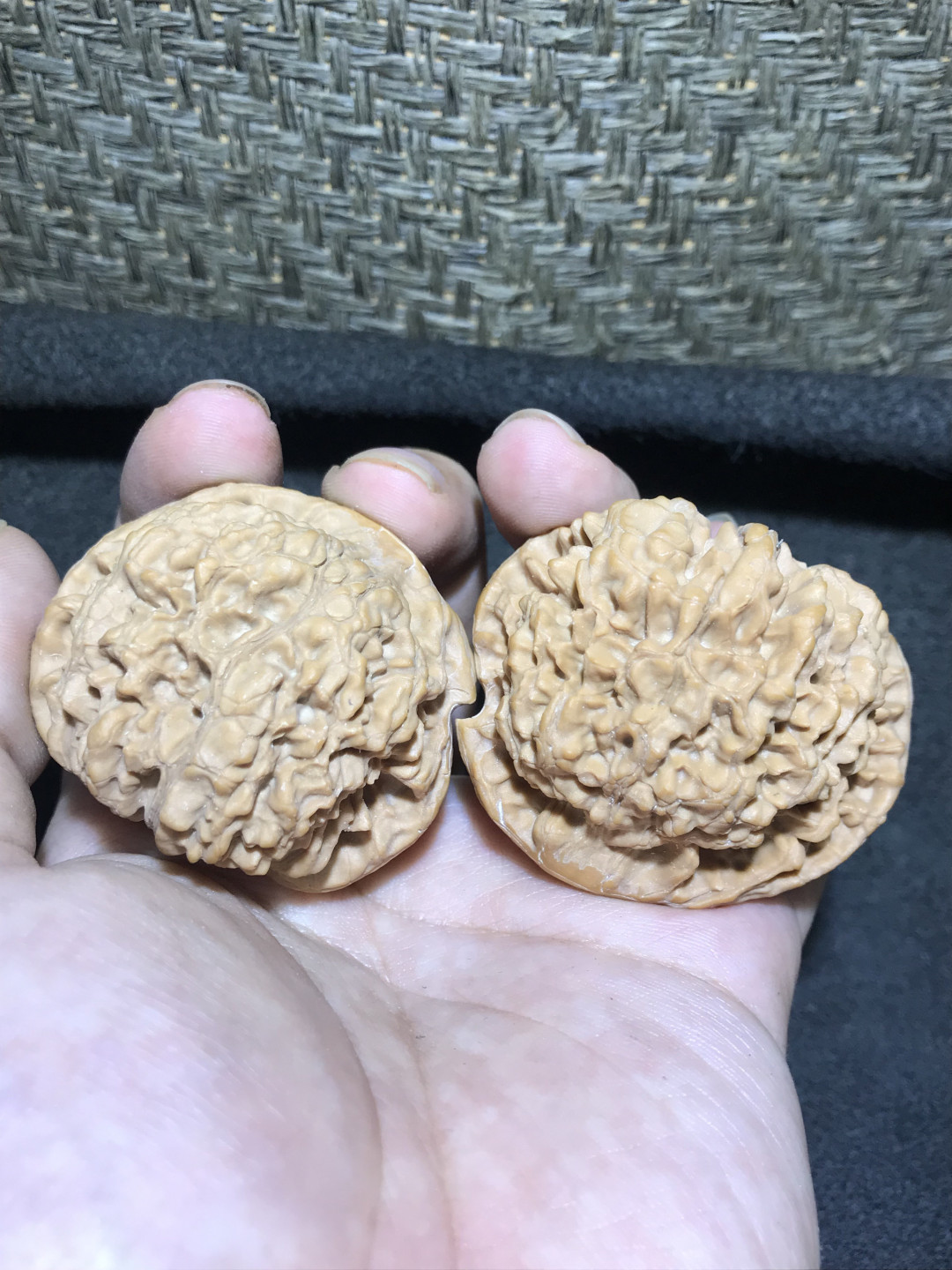 仅此一对，精修异型鹰嘴王勇官帽一对！