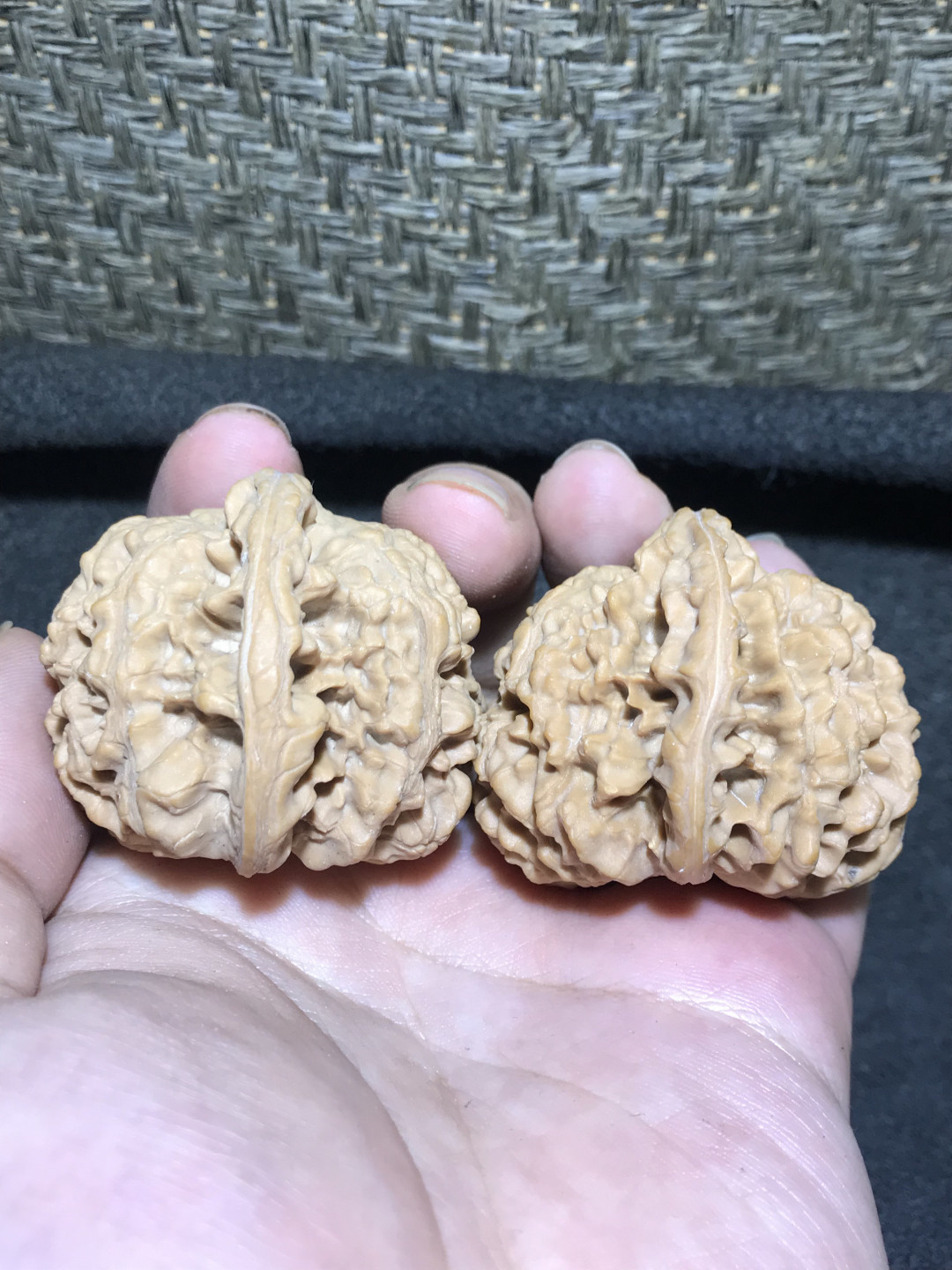 仅此一对，精修异型鹰嘴王勇官帽一对！