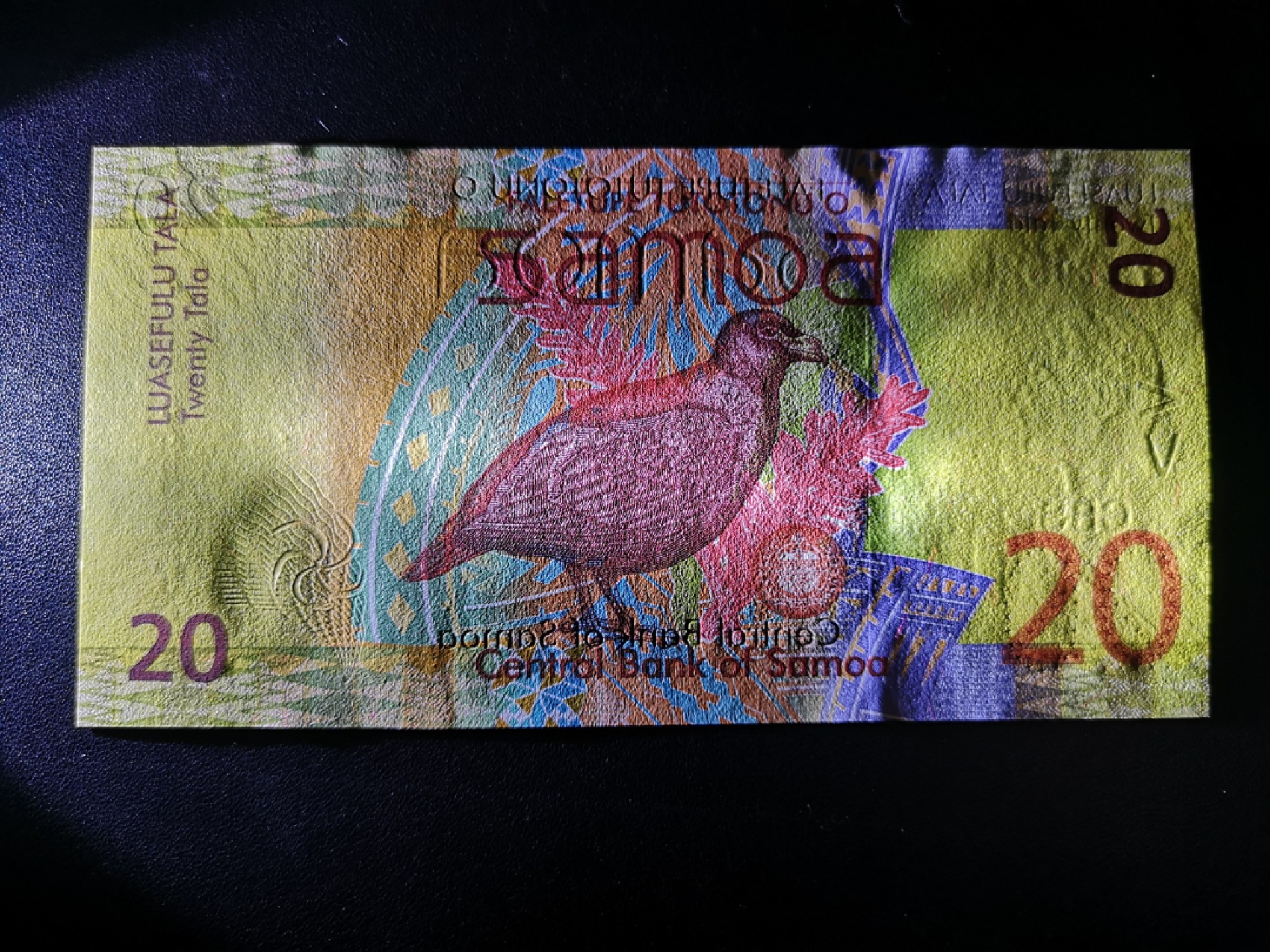 《外钞收藏家》第一百六十四期拍卖（本期100件） 2008年世界最佳纸币-萨摩亚20 全新UNC