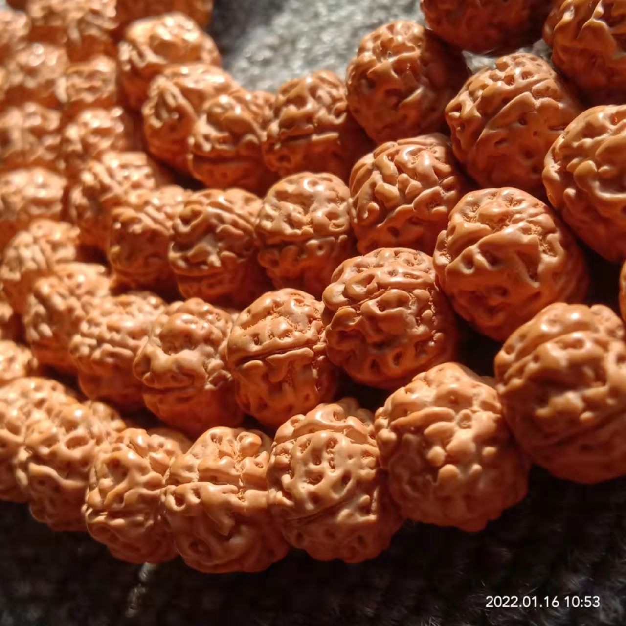 五瓣矮桩爆肉小金刚