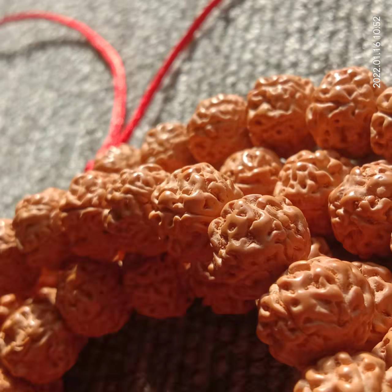 五瓣矮桩爆肉小金刚