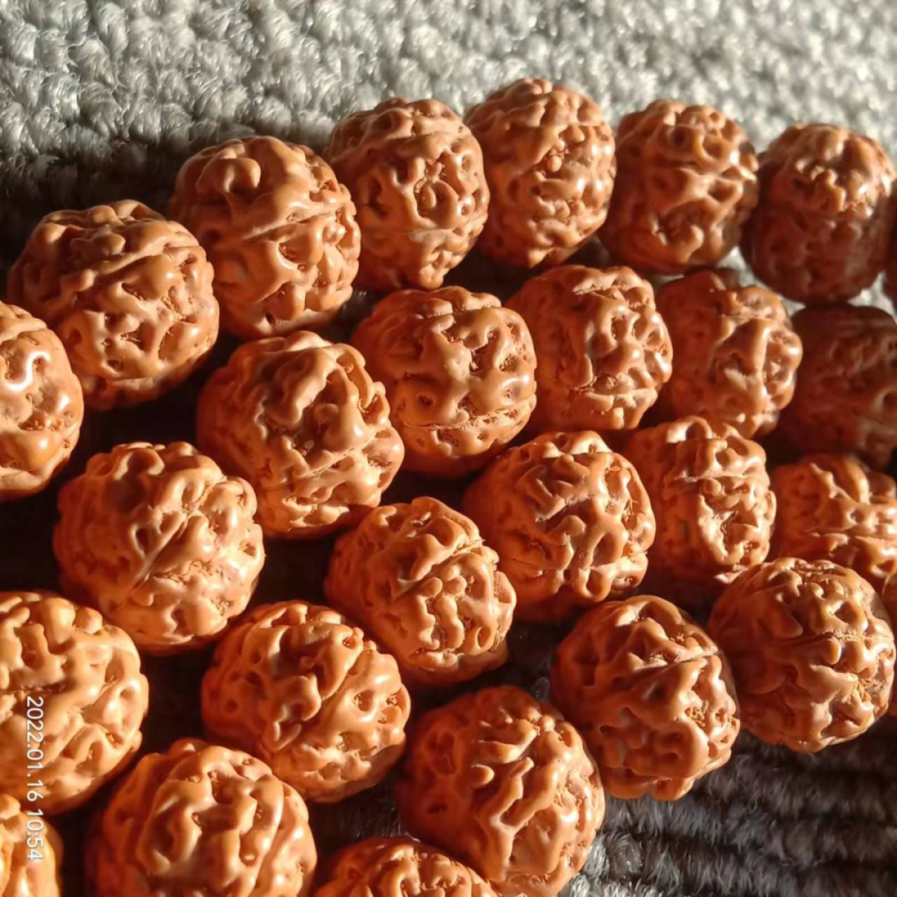 五瓣矮桩爆肉小金刚