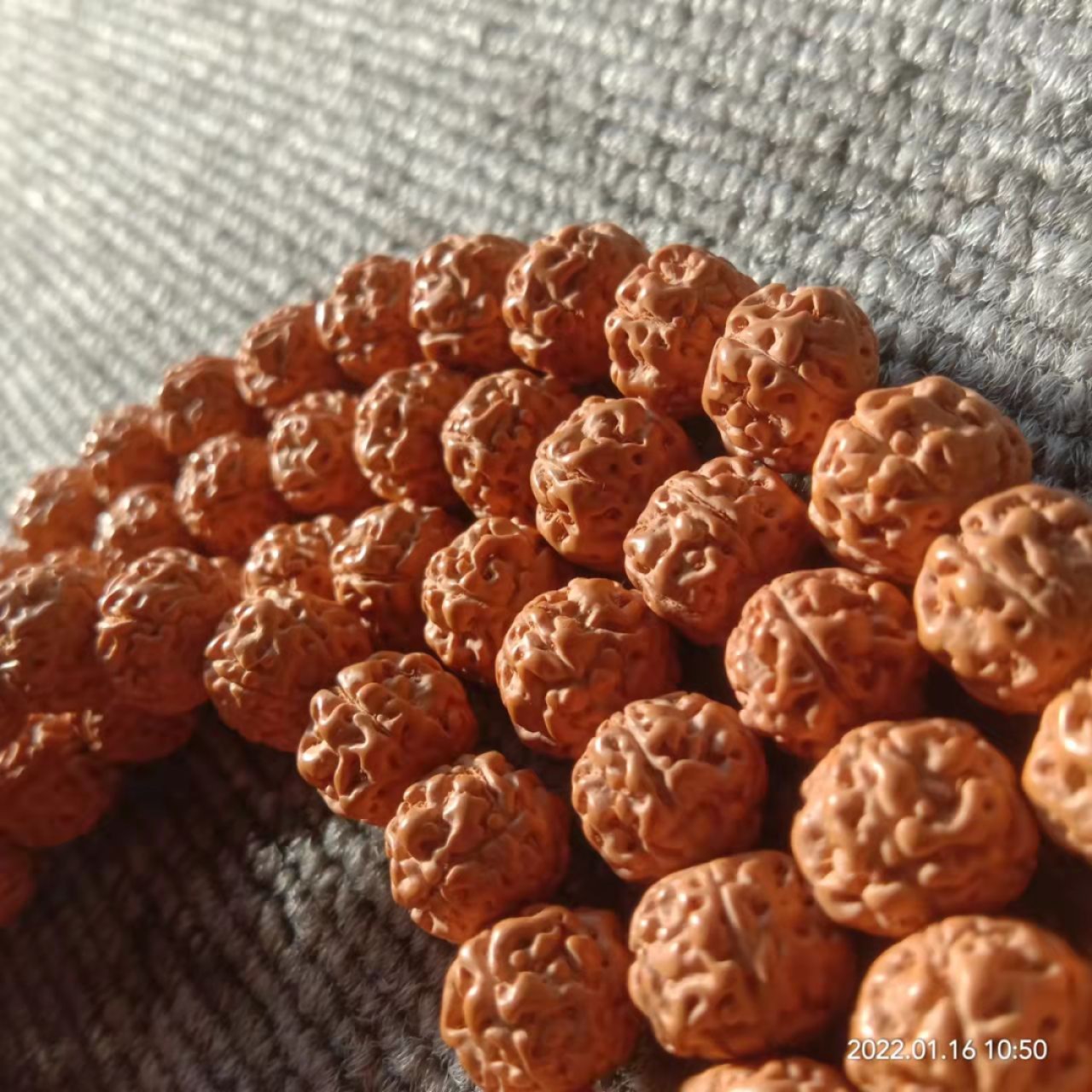 五瓣矮桩爆肉小金刚